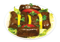 Dolma